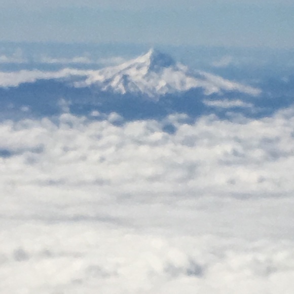 Meet your Posher, Ruth - Picture 1 of 1